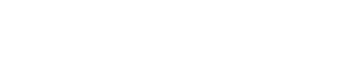 Company 5