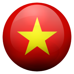 Vietnamese Dong Logo